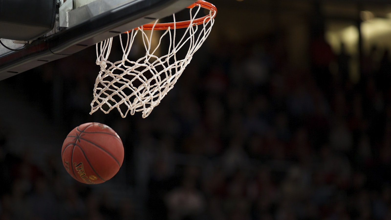 Free NBA Model Pick for April 29th, 2026